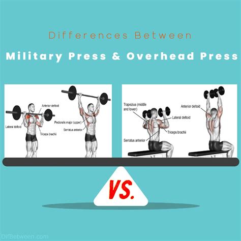 exrx military press|overhead press emg.